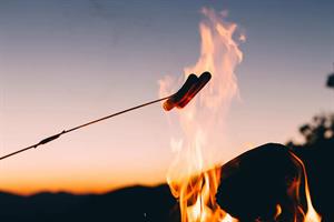 hotdog-roast-fire-stick.jpg