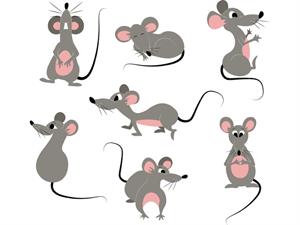 rats everywhere draft.jpg