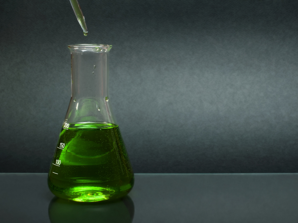 China rose as indicator — lesson. Science CBSE, Class 7.