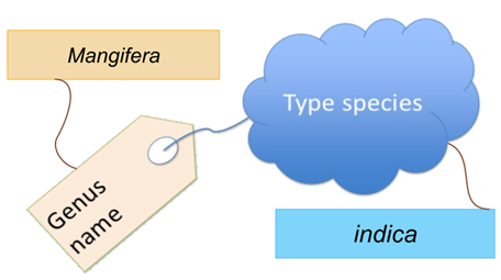 YC Editorial - Divya (25).png